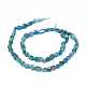 Natural Apatite Beads Strands G-D0004-A02-01-3