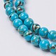 Sea Shell and Synthetic Turquoise Assembled Beads Strands G-G758-04-8mm-3