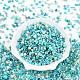 Runde Saatperlen&nbsp;SEED-N007-13D-2