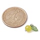 Natürliche Zitronen-Jade-Frucht-Charms PALLOY-JF02431-05-2
