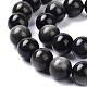 Natural Silver Obsidian Beads Strands G-D083-01A-3