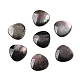 Cabochons de lèvre en coquille noire naturelle&nbsp;SSHEL-T017-09-1