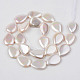 Electroplate Natural Freshwater Shell Beads Strands X-SHEL-R049-026B-2