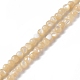 Fili di perle di conchiglia trochid naturale / trochus SSHEL-S266-023B-01-1