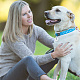 Transparent Blank Acrylic Pet Dog ID Tag PALLOY-AB00041-7