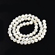 Fili di perline di conchiglia bianco naturale SSHEL-N003-144E-01-2