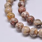 Chapelets de perles maifanite/maifan naturel pierre , ronde, 10mm, Trou: 1mm, Environ 38 pcs/chapelet, 15.1 pouce