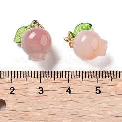 Breloques de fruits en agate naturelle avec feuille&nbsp;G-Z052-03A