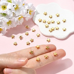 Perles en laiton shegrace&nbsp;XGR0108G-145G