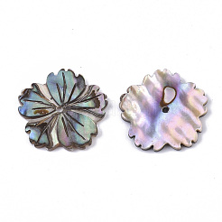 Coquille de paua naturelle / perles de coquille d'ormeau&nbsp;SSHEL-R046-02