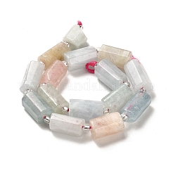 Naturperlen Stränge morganite&nbsp;G-N327-06-03