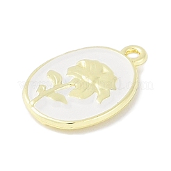 Pendentifs en alliage peint par pulvérisation de placage de rack&nbsp;PALLOY-F018-14G-02