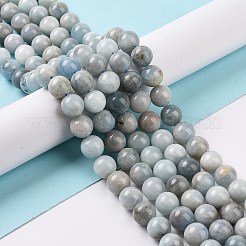 Natürliche Aquamarin Perlen Stränge&nbsp;G-F641-02-10mm-01A