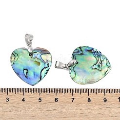 Natürliche Abalone Muschel / Paua Muschel Anhänger&nbsp;X-SSHEL-M024-01