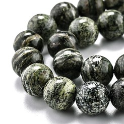 Natürliche grüne Zebra Jaspis Perlenstränge&nbsp;G-O199-05C