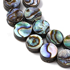 Naturelles Paua brins de perles&nbsp;BSHE-ZX006-09C