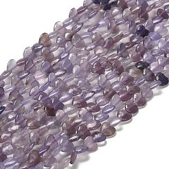 Natürliche Lepidolith / lila Glimmer Steinperlen Stränge&nbsp;G-P575-C01-6mm