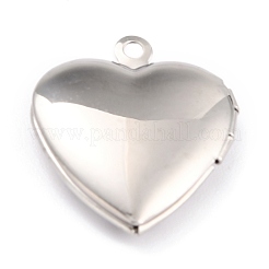 Pendentifs en acier inoxydable 304 anti-ternissement avec strass&nbsp;STAS-L258-006P