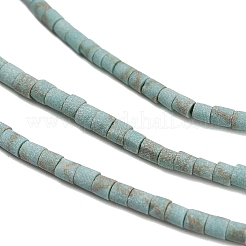 Teints perles synthétiques turquoise brins&nbsp;G-P594-01B-05