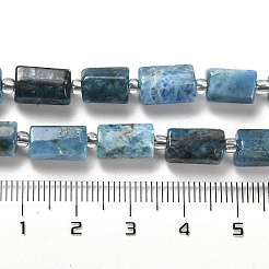 Natürliche Apatit Perlen Stränge&nbsp;G-N327-06-27
