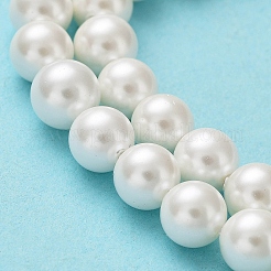 Shell-Perle Perle Stränge&nbsp;BSHE-L026-03-6mm