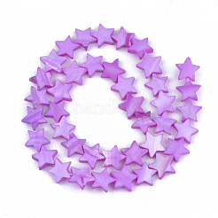 Chapelets de perles en coquille d'eau douce &nbsp;SHEL-S276-31E