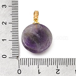 Natürlichen Amethyst Edelsteinanhänger&nbsp;G-T151-01A