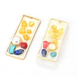 Pendentifs en résine époxy&nbsp;RESI-X0001-16G