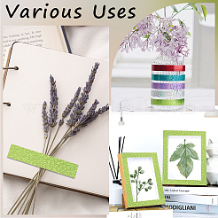 DIY Scrapbook dekorative Laserpapierbänder&nbsp;DIY-WH20001-98E
