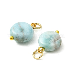 Ciondoli larimar naturali&nbsp;PALLOY-JF05999