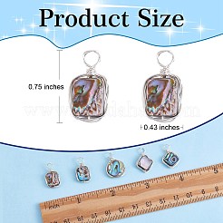 8pcs 4 Stile natürliche Abalone-Muschel / Paua-Muschel-Anhänger&nbsp;FIND-SZ0003-08