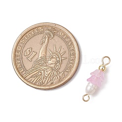 Ciondoli connettore in acrilico e perle d'acqua dolce coltivate naturali con fiori smerigliati&nbsp;PALLOY-JF03590-04