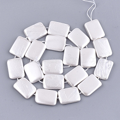 Chapelets de perles de coquille&nbsp;SSHEL-T007-21G