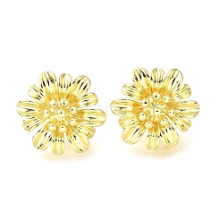 Pendientes de latón para mujer&nbsp;EJEW-F365-04LG