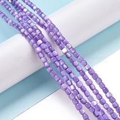 Brins de perles de coquillages naturels de troca&nbsp;SSHEL-H070-02
