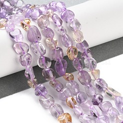Naturperlen Stränge ametrine&nbsp;G-P497-01C-48