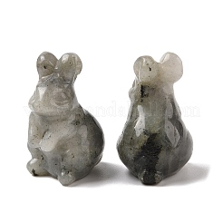 Natürliche Labradorit-Skulptur-Display-Dekorationen&nbsp;G-C244-01P