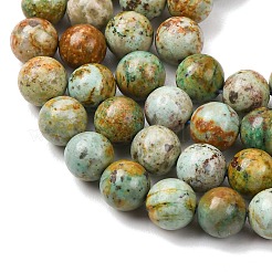 Natürliche peruanische türkisfarbene (Jaspis) Perlenstränge&nbsp;G-T150-A01-8mm