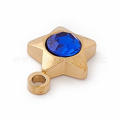 Anhänger aus Edelstahl 304&nbsp;STAS-P310-22G-04