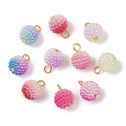 Pendentifs en résine opaque de couleur dégradée&nbsp;RESI-D016-01