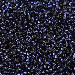 Perline miyuki delica&nbsp;X-SEED-J020-DB2191