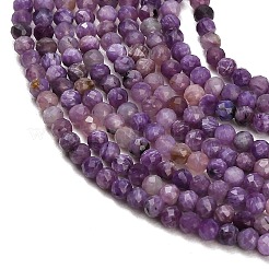 Naturperlen Stränge charoite&nbsp;GG-CBA4399-A11-02