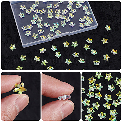 100pcs Glasanhänger&nbsp;GLAA-SP0001-68
