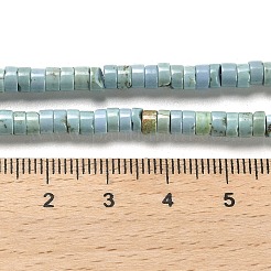 Fili di perline turchese naturale&nbsp;X-G-M422-C01-01