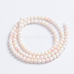 Fili di perle di conchiglia rosa naturale&nbsp;LS-SSHEL-L016-18C