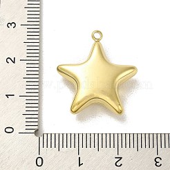Anhänger aus Edelstahl 304&nbsp;STAS-L022-115G
