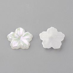 Acryl Cabochons&nbsp;X-MACR-Q183-06