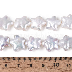 Natürliche Barock Keshi Perlen Stränge&nbsp;PEAR-S020-Z06