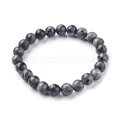 Natürliche Larvikit-Perlen-Stretch-Armbänder&nbsp;BJEW-F380-01-B14