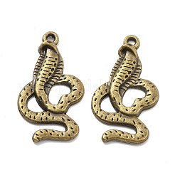 Tibetischer stil Aluminium Anhänger & Charms&nbsp;PALLOY-P267-25AB